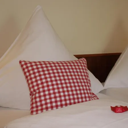 Metzgerei Moselgasthof Andries 梅塞尼希