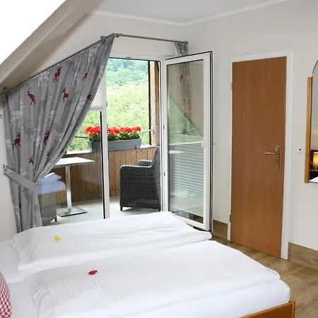 招待所 Metzgerei Moselgasthof Andries