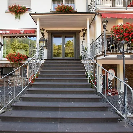 Metzgerei Moselgasthof Andries 3* Мезених