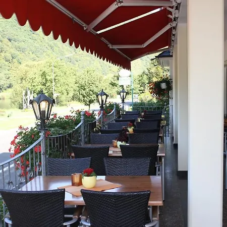 Metzgerei Moselgasthof Andries 3* 梅塞尼希