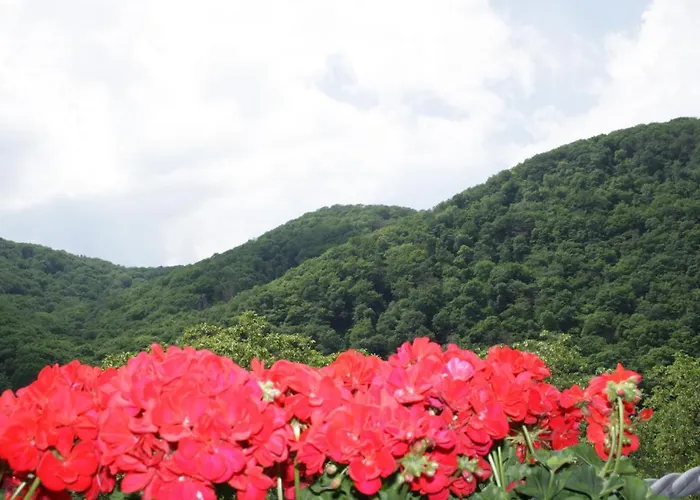 Maison d'hôtes Metzgerei Moselgasthof Andries Mesenich