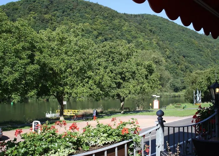 Casa de hóspedes Metzgerei Moselgasthof Andries Mesenich